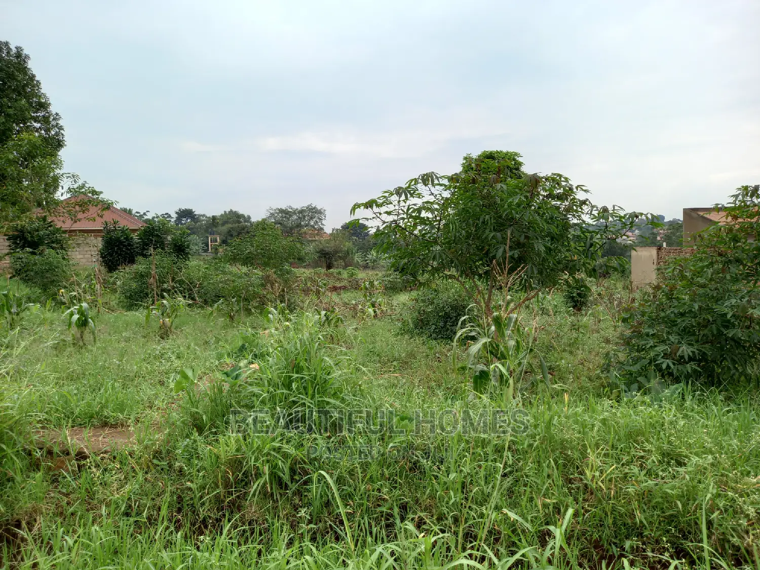 Nakwero Residential Plots on Sell