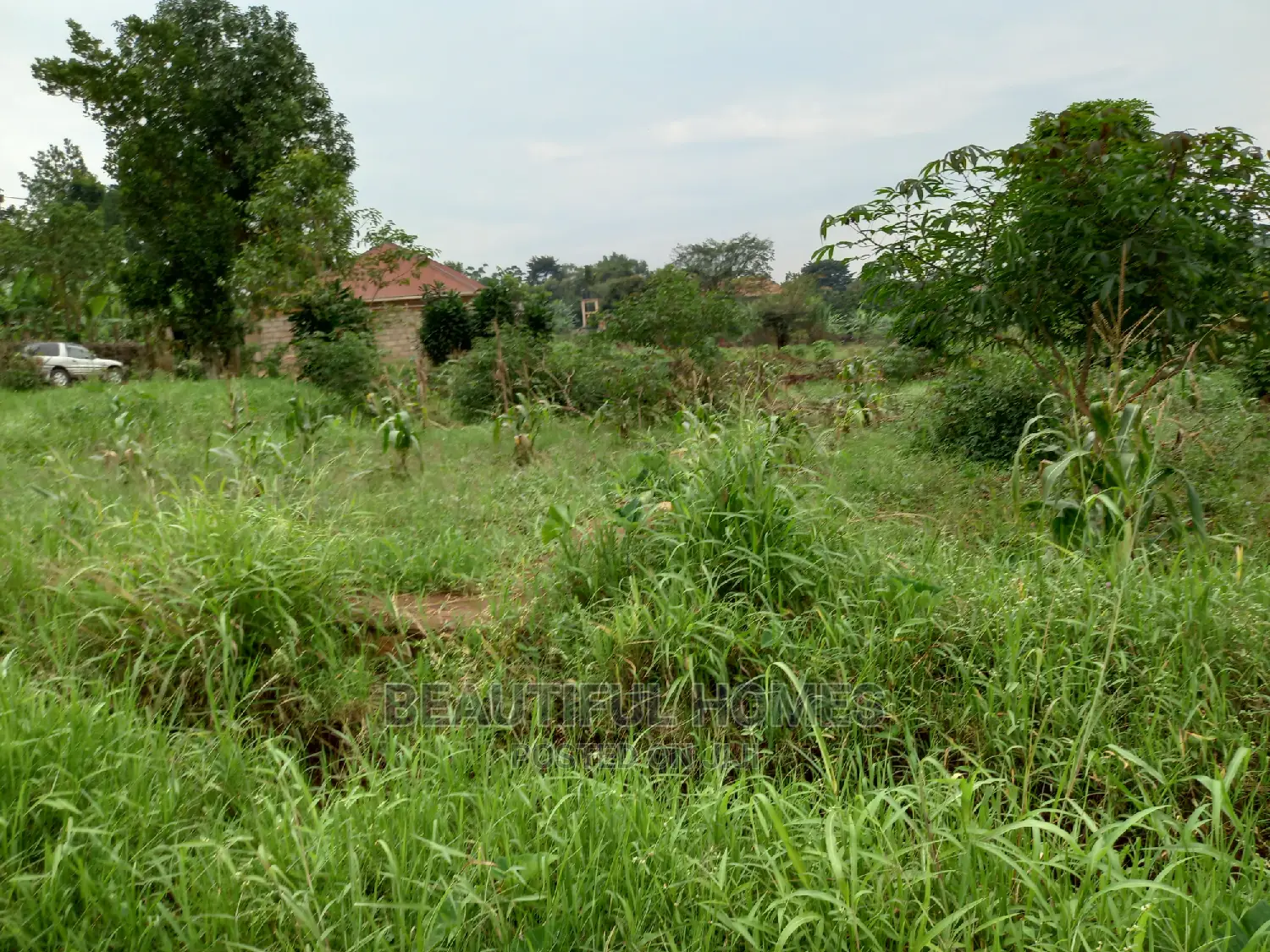 Nakwero Residential Plots on Sell