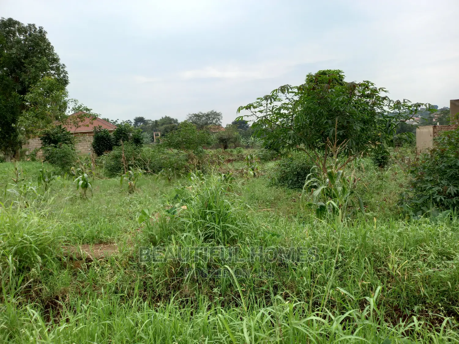 Nakwero Residential Plots on Sell