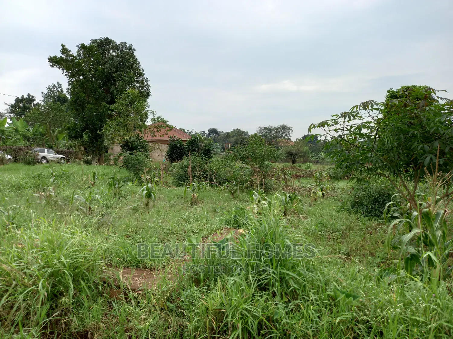 Nakwero Residential Plots on Sell