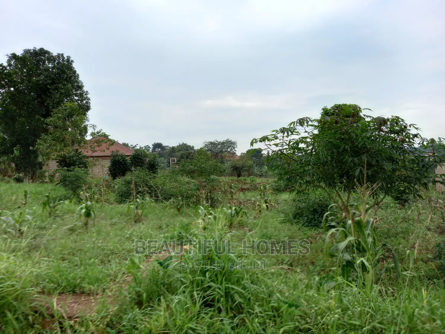 Nakwero Residential Plots on Sell