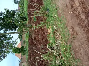 Nakwero 25 Decimals on Sell