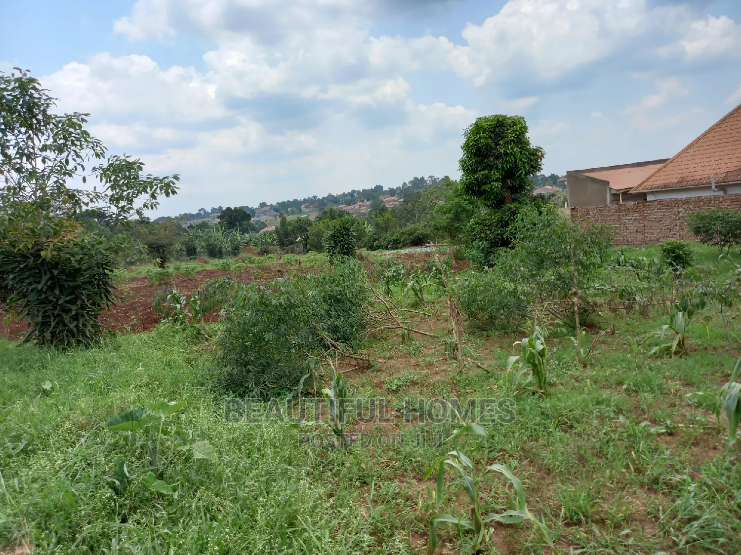 Nakwero 25 Decimals on Sell