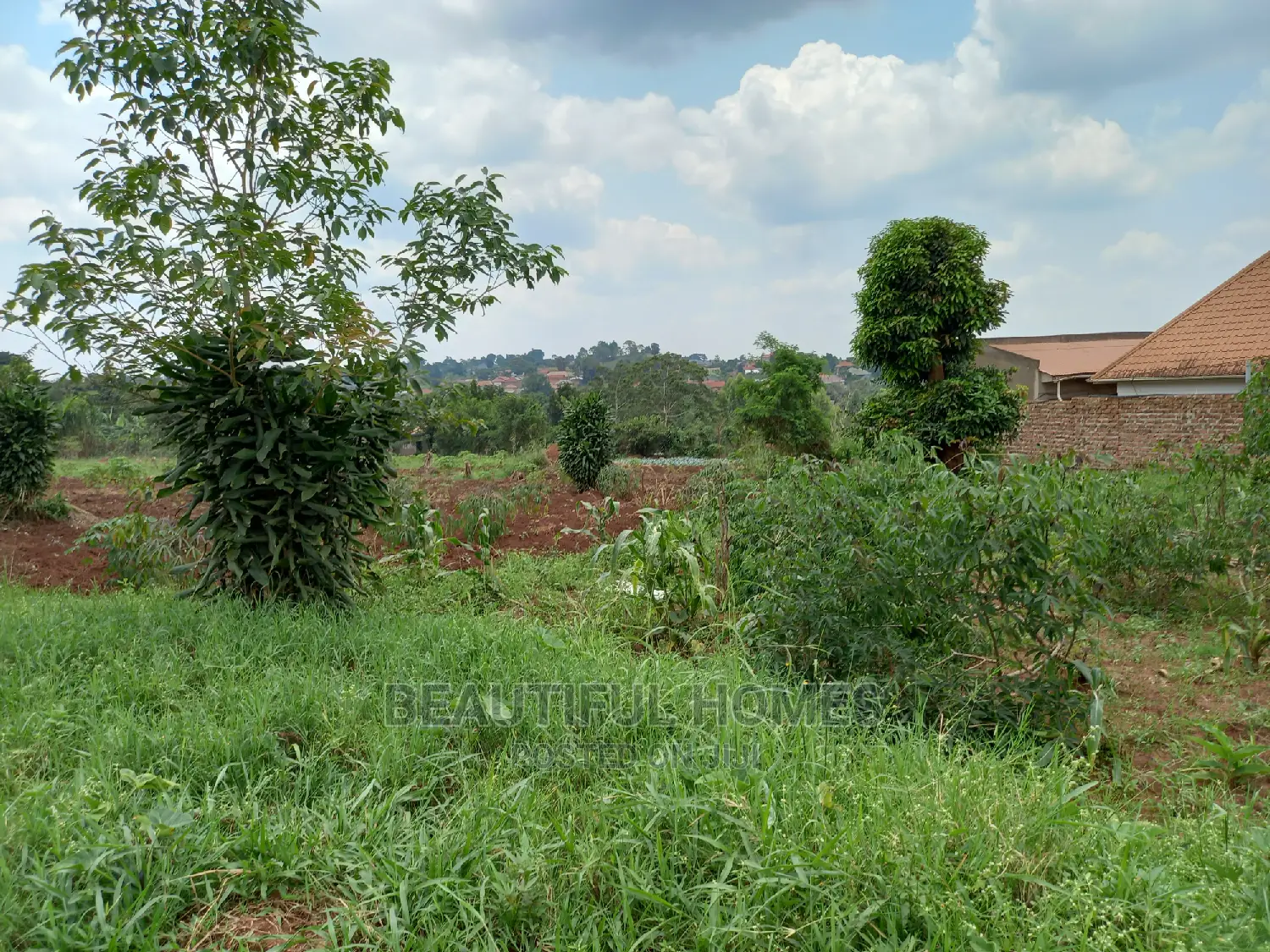 Nakwero 25 Decimals on Sell