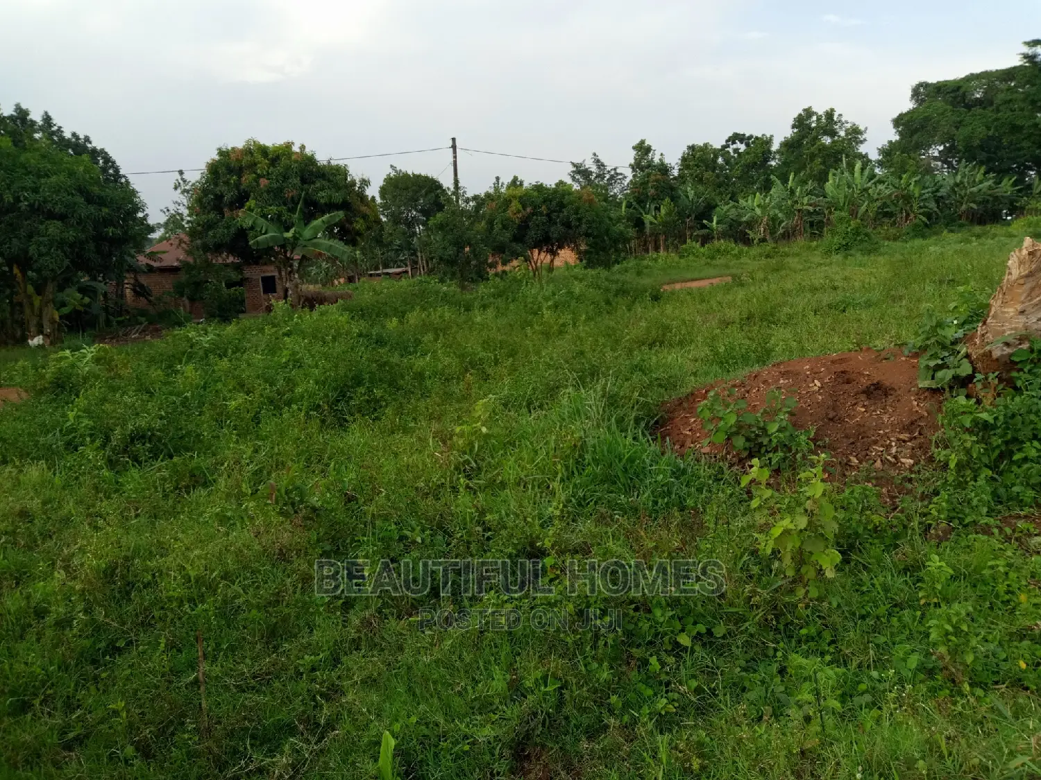 Residential 100*100 in Nakwero on Sell
