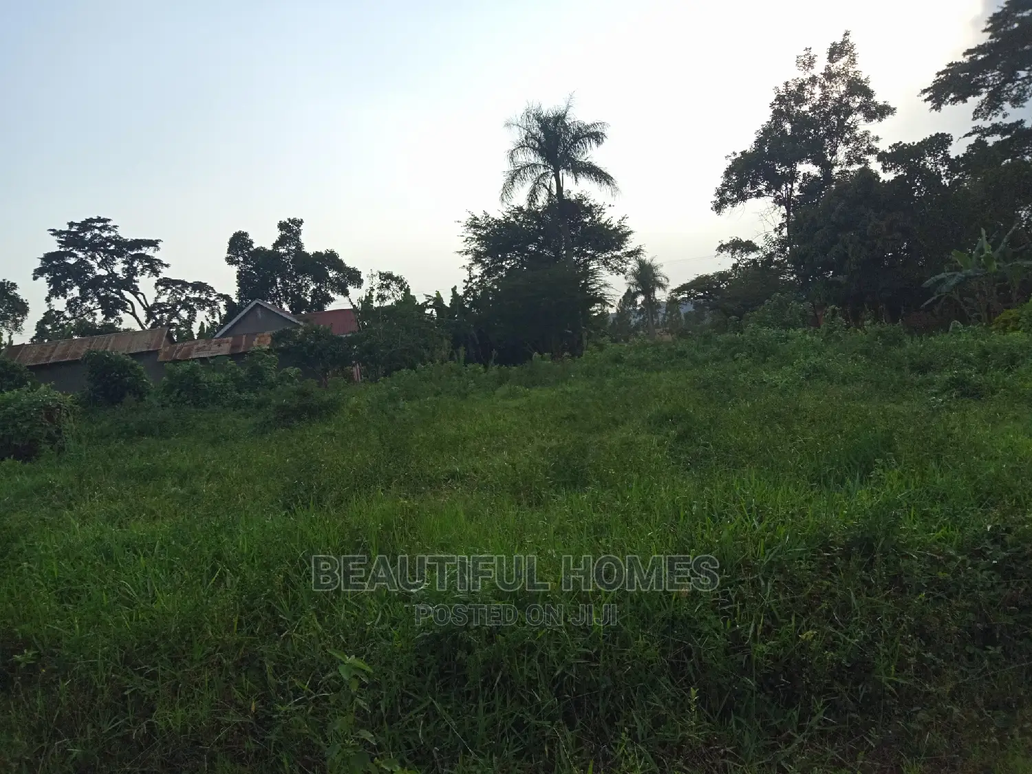 Residential 100*100 in Nakwero on Sell