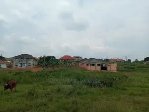 Kira Two Plots of Land for Sale