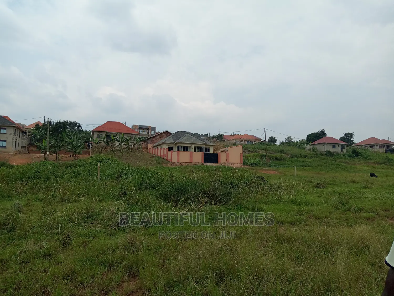 Kira Two Plots of Land for Sale
