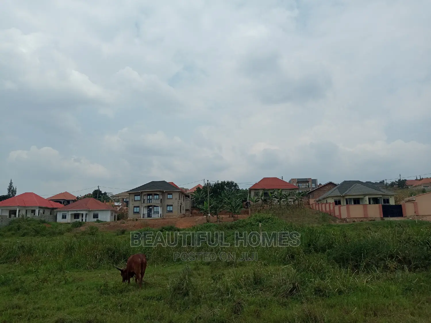 Kira Two Plots of Land for Sale