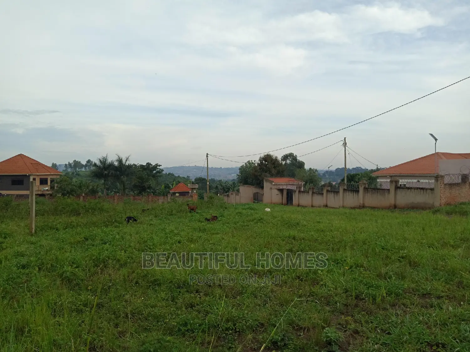 Kira Two Plots of Land for Sale