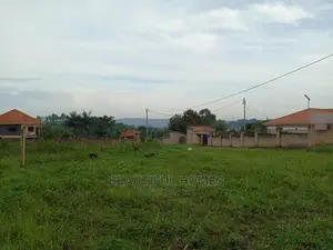 Kira Two Plots of Land for Sale