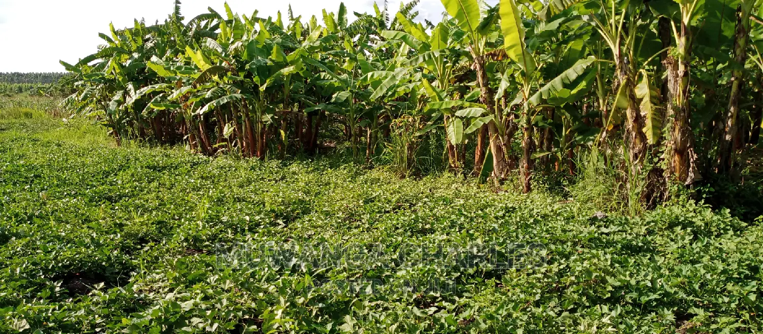 Plots for Sale in Zirobwe