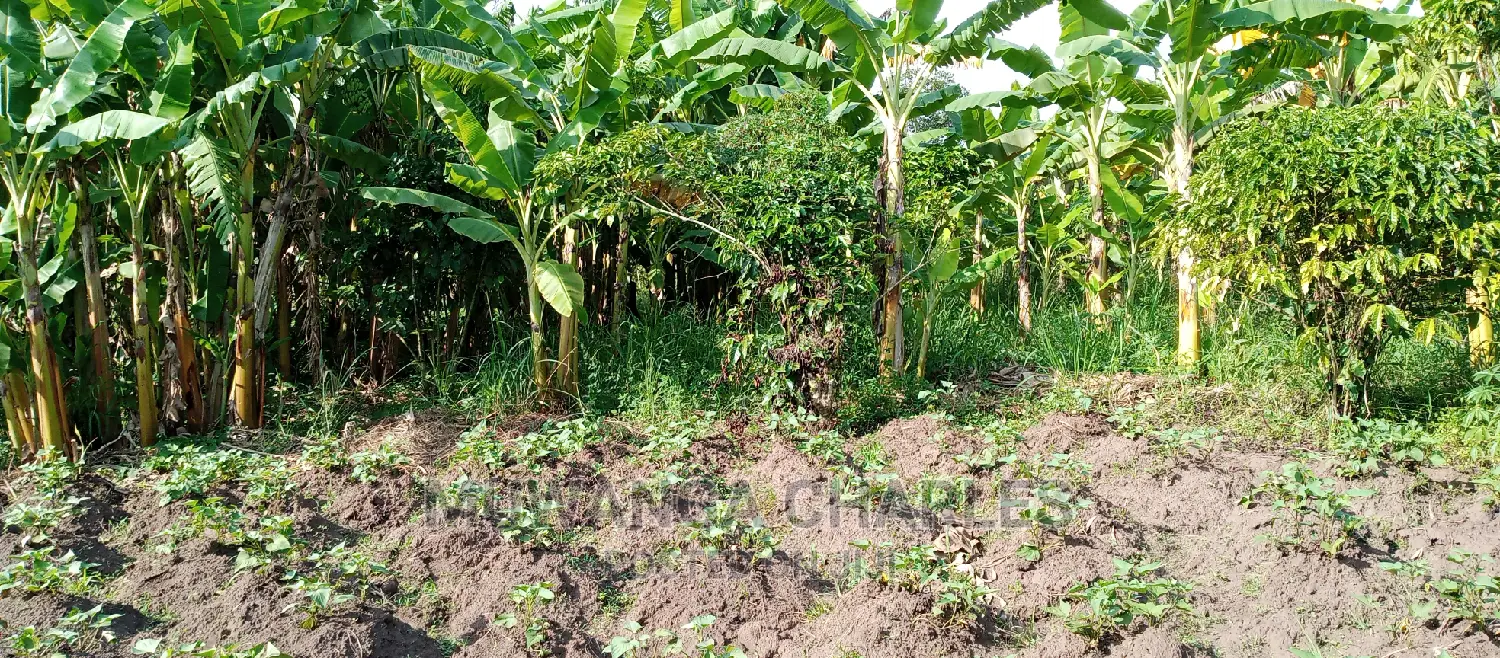 Plots for Sale in Zirobwe