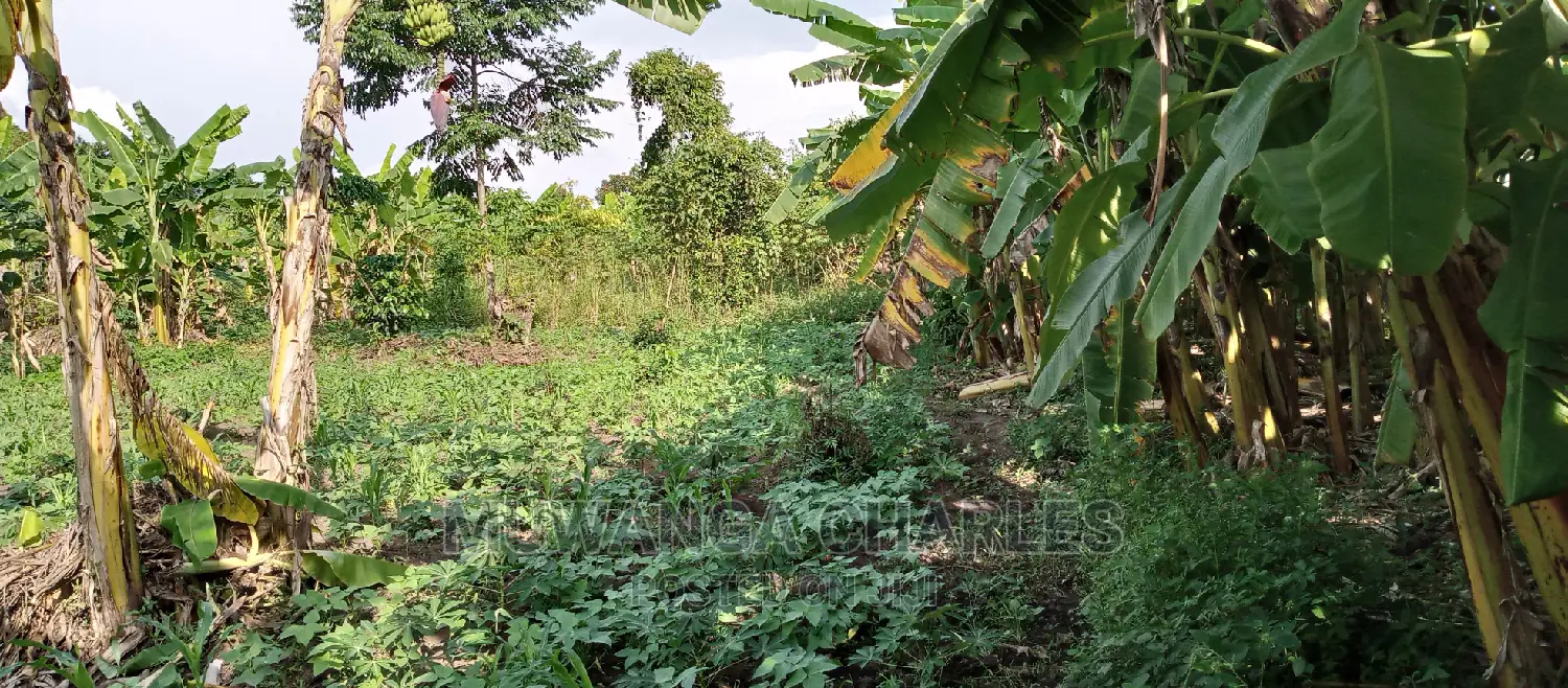 Plots for Sale in Zirobwe