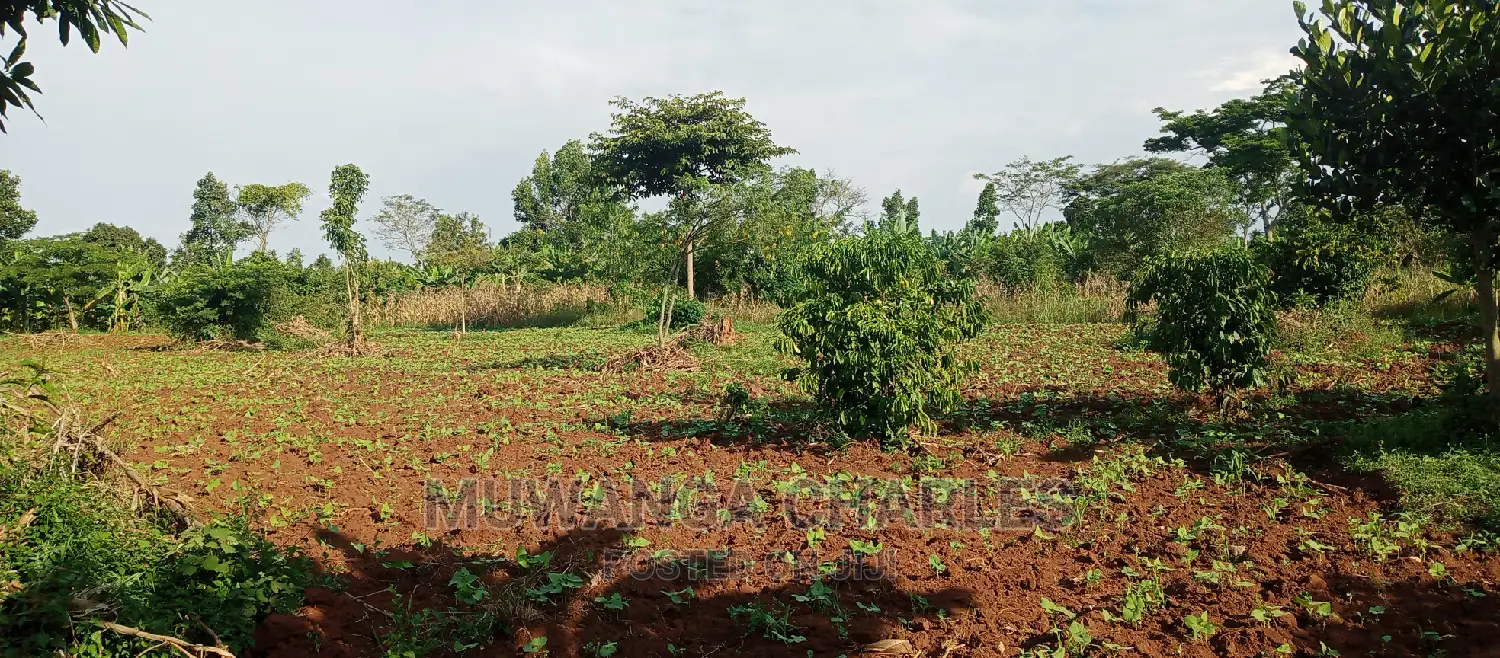 2acres of Land for Sale in Zirobwe