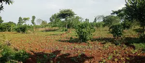 2acres of Land for Sale in Zirobwe