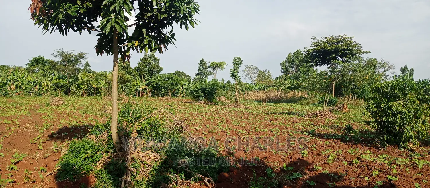 2acres of Land for Sale in Zirobwe