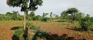 2acres of Land for Sale in Zirobwe