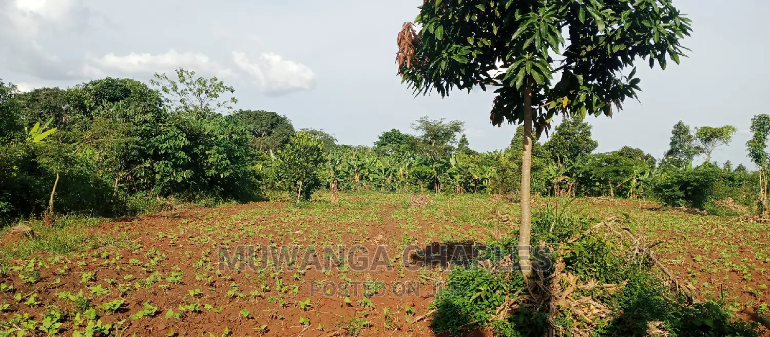 2acres of Land for Sale in Zirobwe