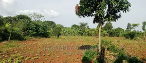 2acres of Land for Sale in Zirobwe