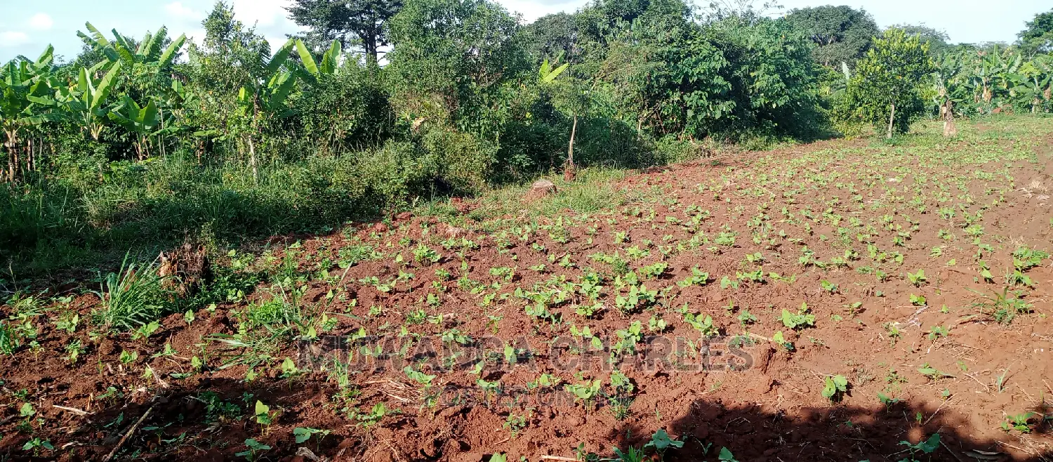 2acres of Land for Sale in Zirobwe