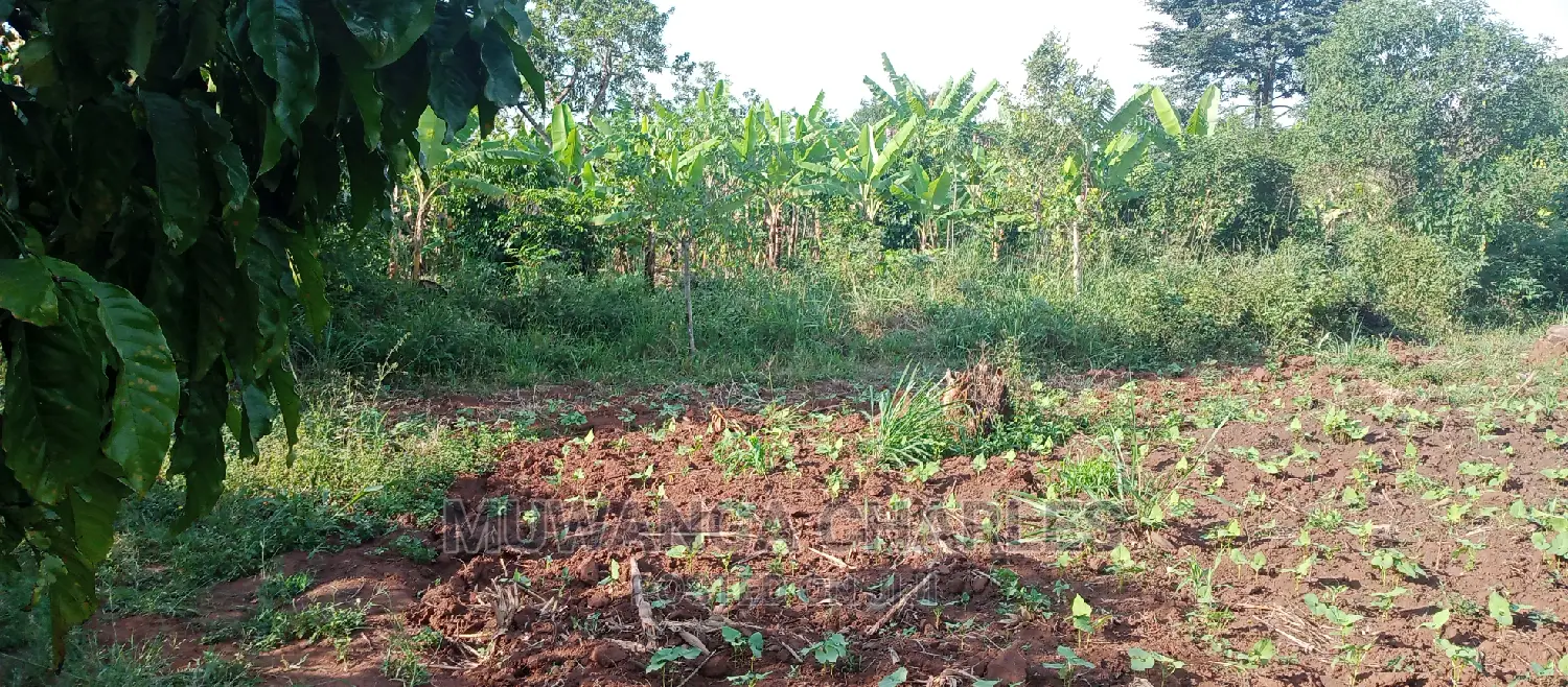 2acres of Land for Sale in Zirobwe