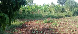 2acres of Land for Sale in Zirobwe