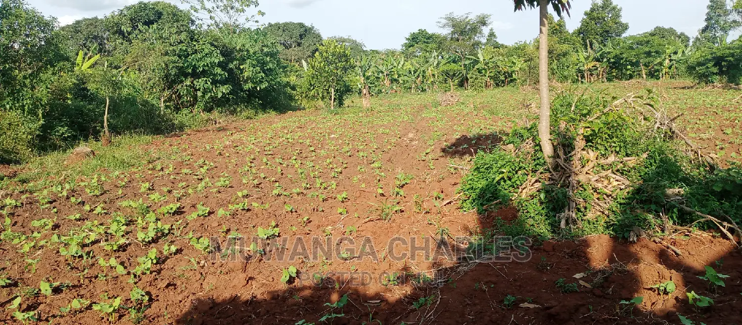 2acres of Land for Sale in Zirobwe