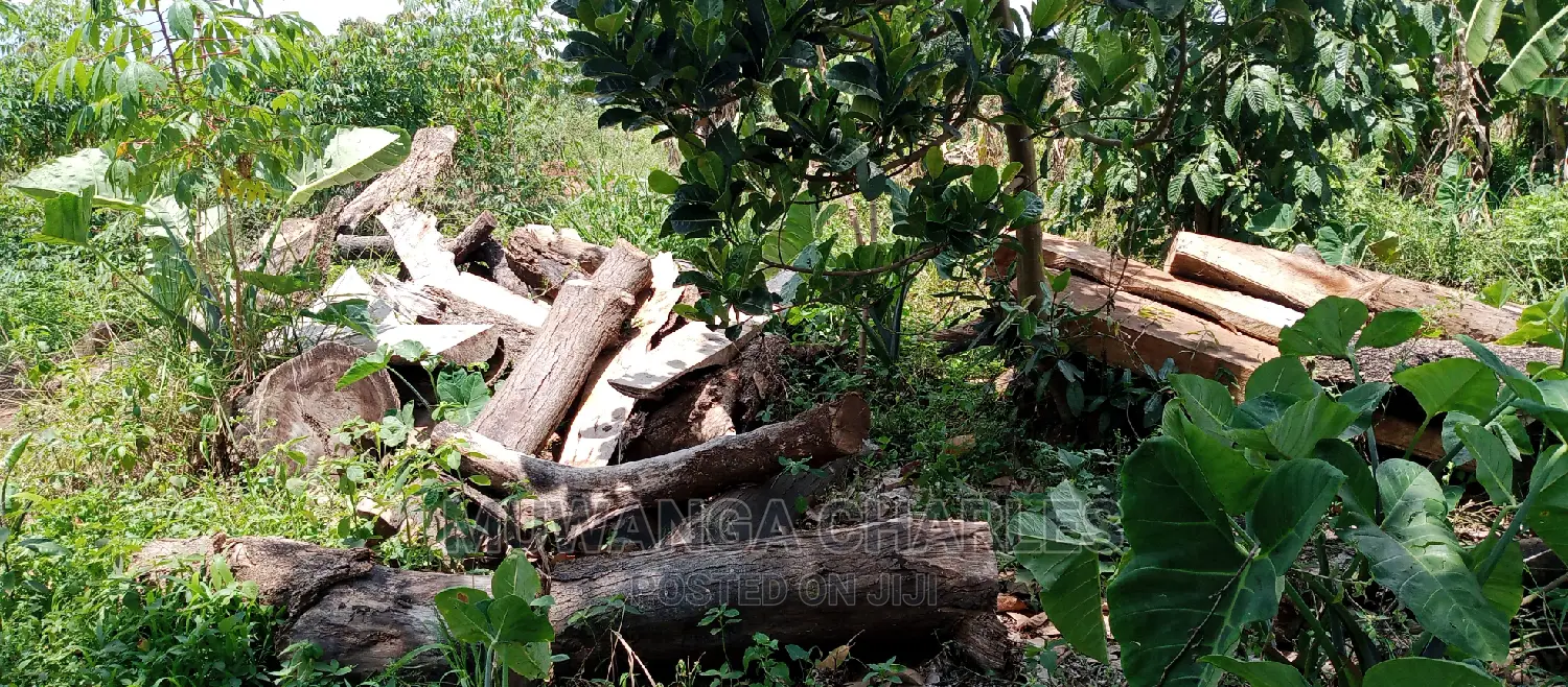 2acres for Sale in Zirobwe