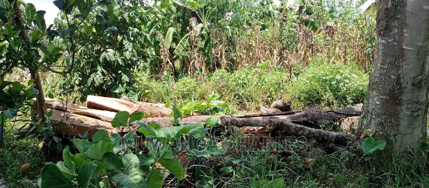 2acres for Sale in Zirobwe