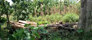 2acres for Sale in Zirobwe