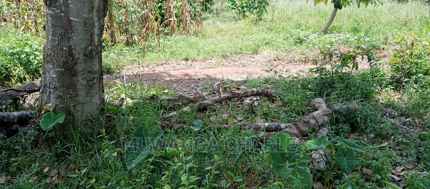 2acres for Sale in Zirobwe