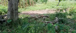 2acres for Sale in Zirobwe