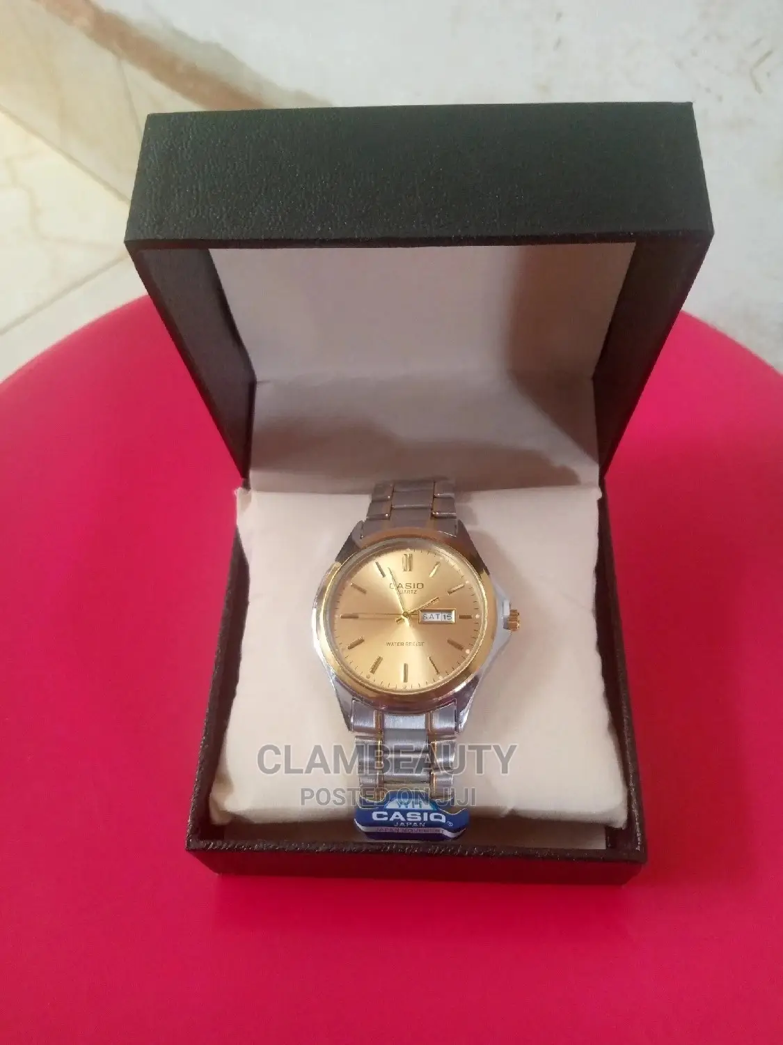 Casio Men's Watch
