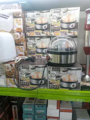 Eggs Boiler