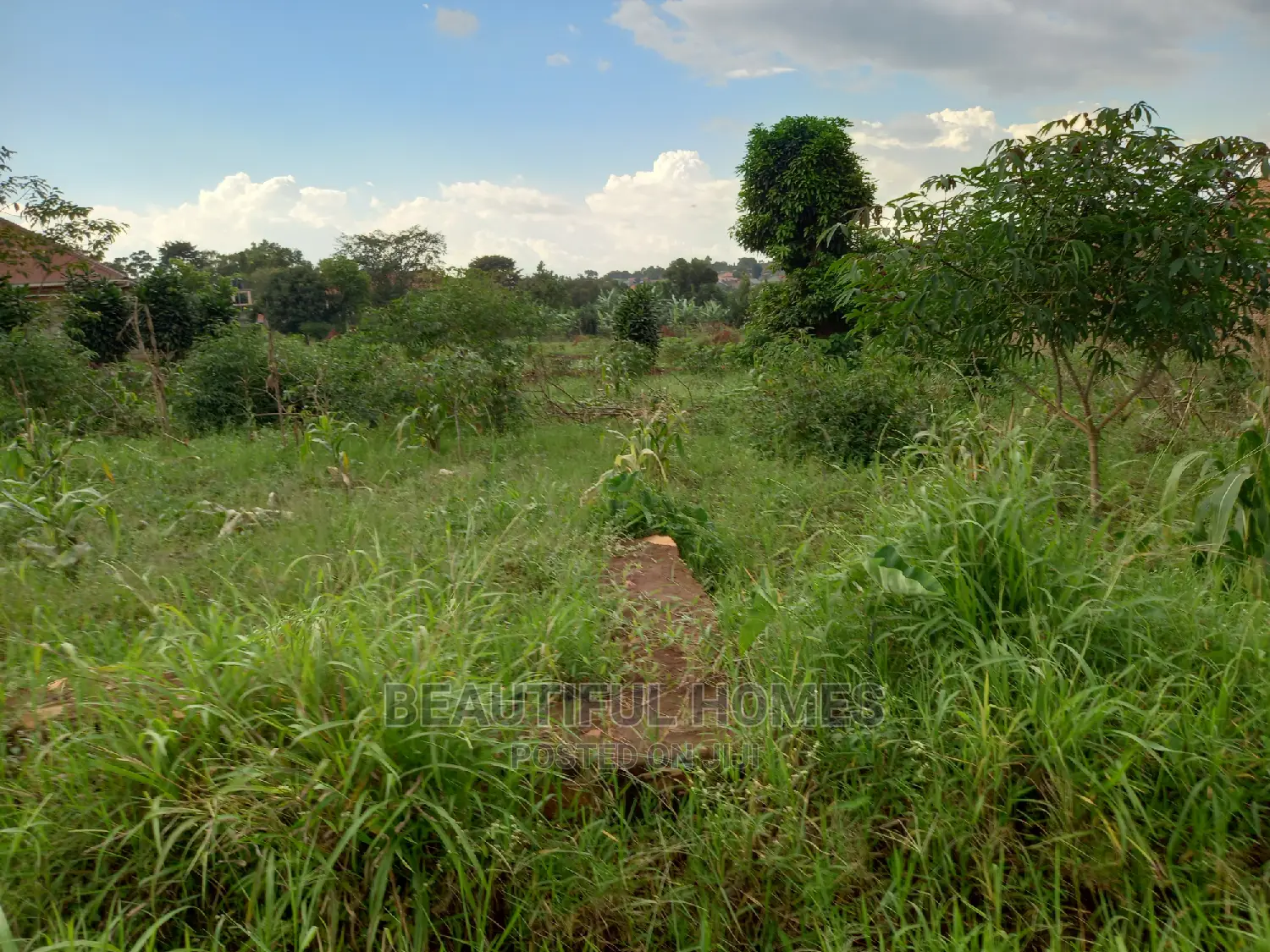 Kira Two Plots on Sell