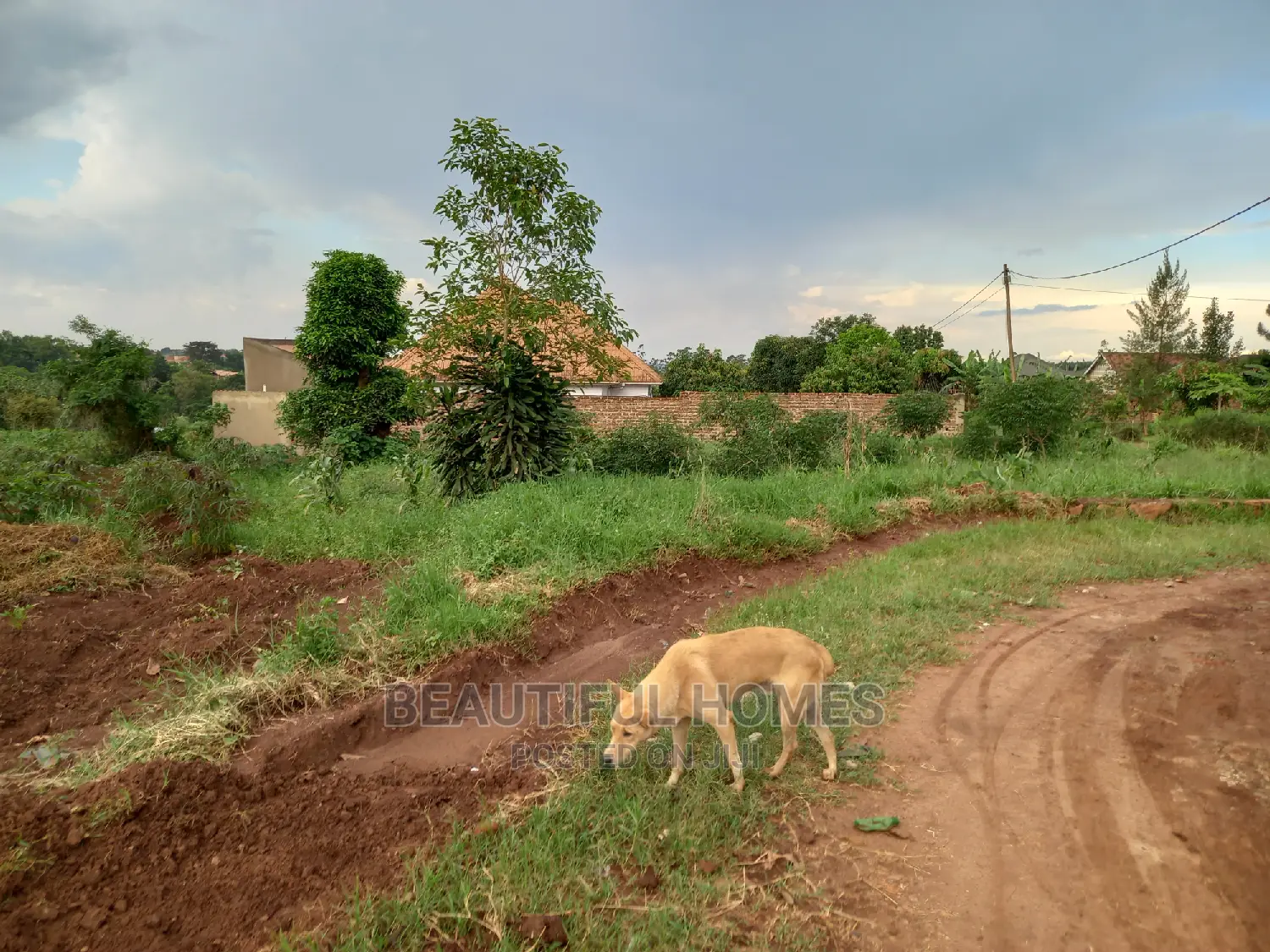 Nakwero Two Great Plots on Sell