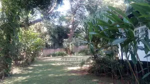 3bdrm Bungalow in Kololo Property, Kampala for Rent