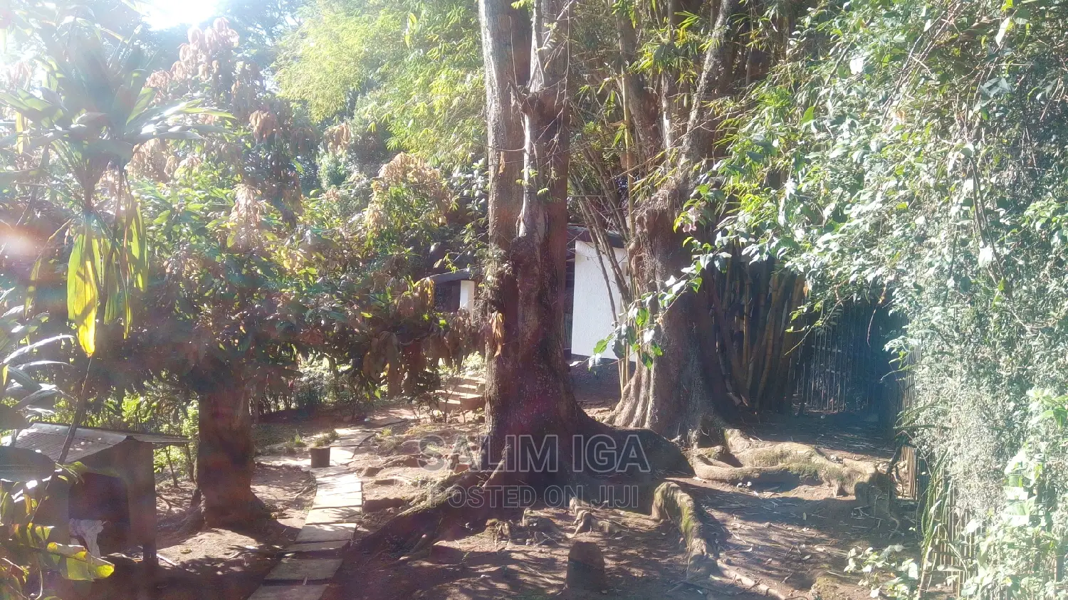 3bdrm Bungalow in Kololo Property, Kampala for Rent