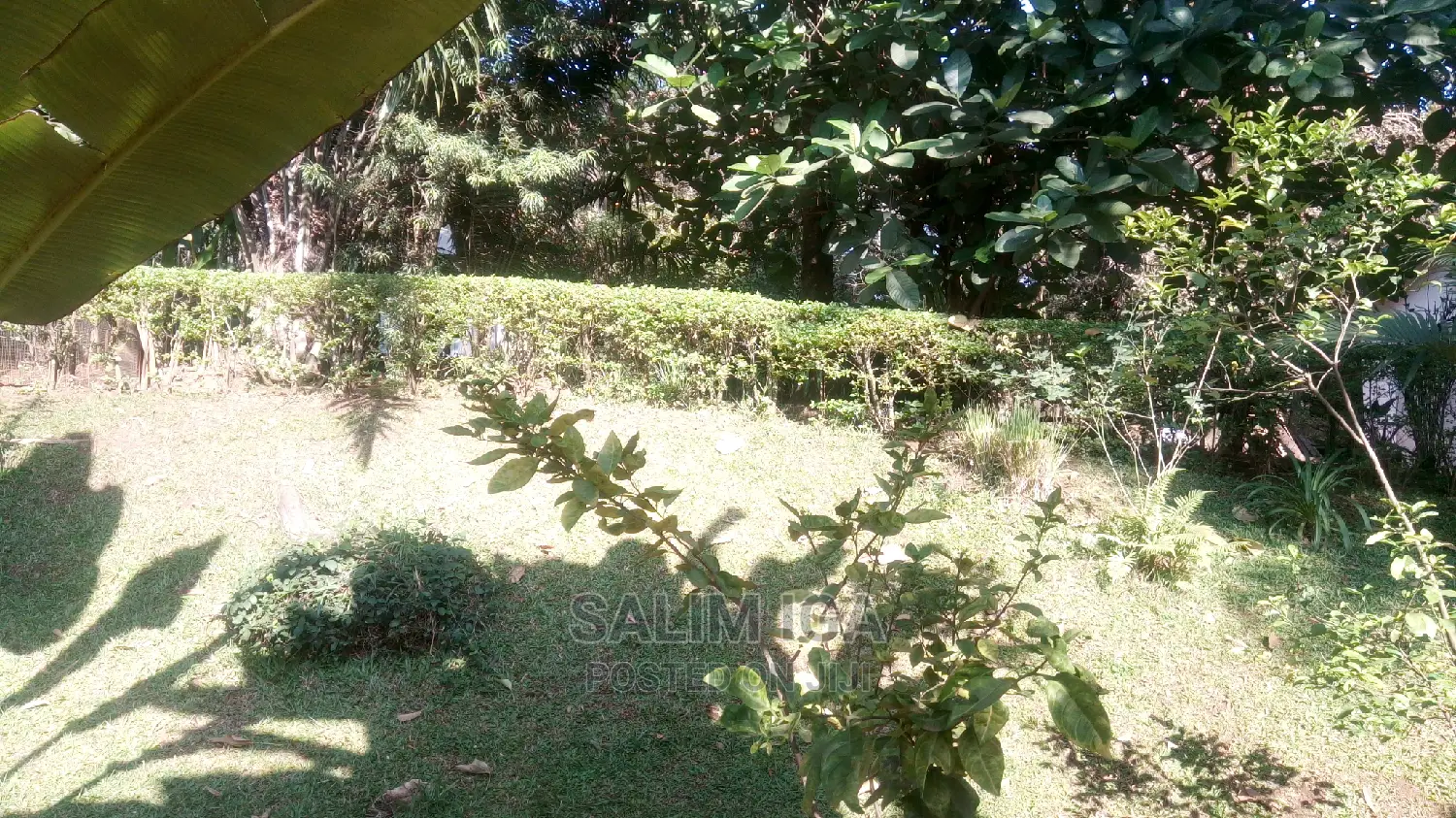3bdrm Bungalow in Kololo Property, Kampala for Rent
