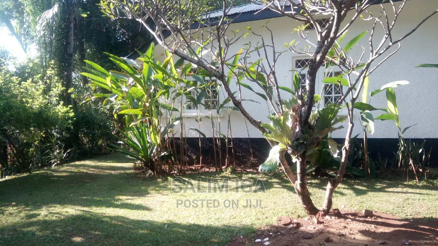 3bdrm Bungalow in Kololo Property, Kampala for Rent