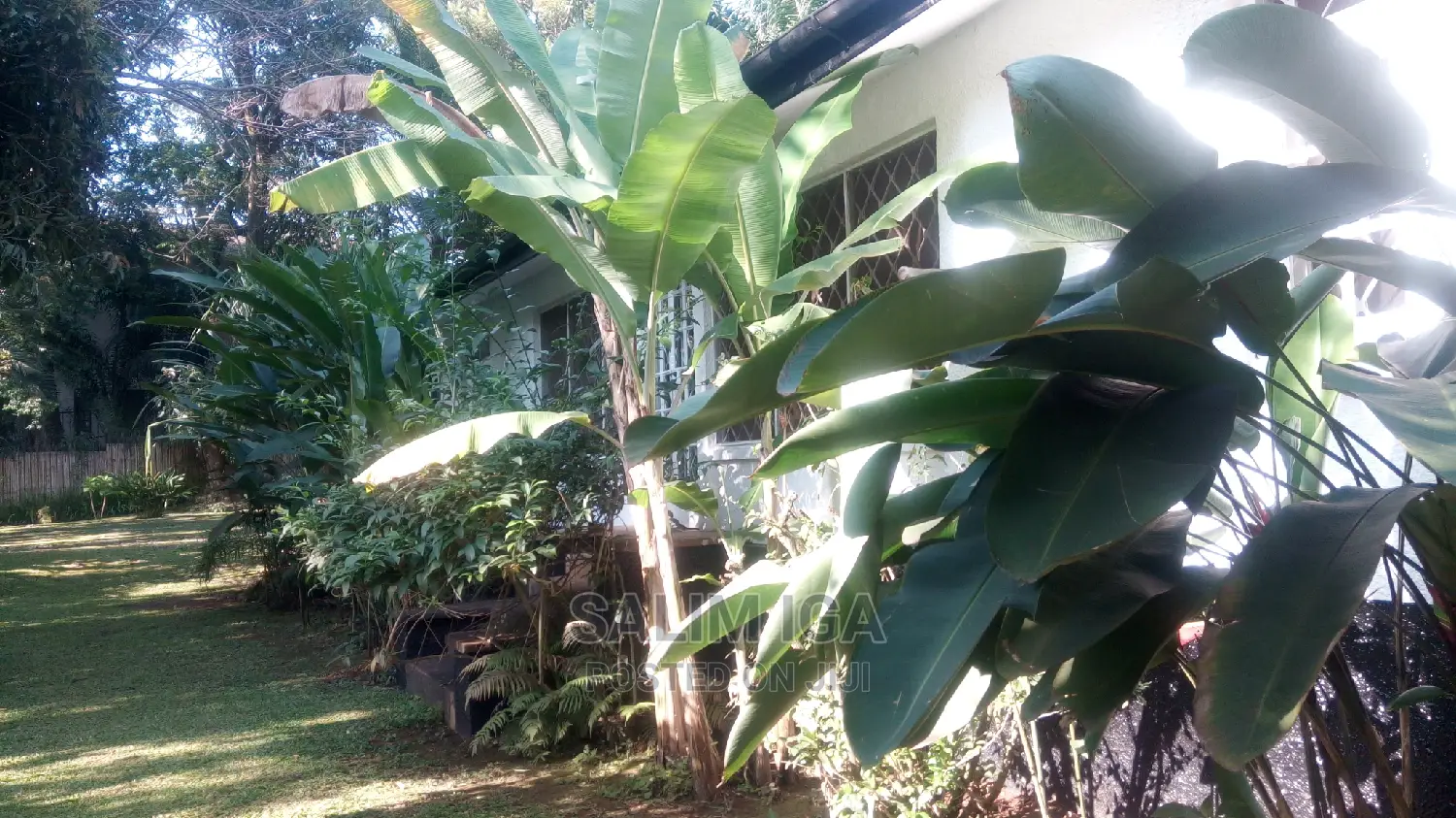 3bdrm Bungalow in Kololo Property, Kampala for Rent