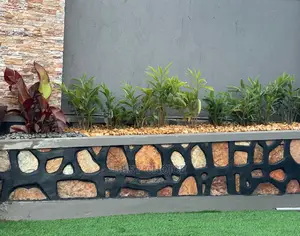 High Standard Compound Designing and Land Scaping.