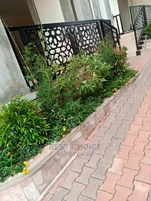 Modern Compound Designs and Land Scarping Services.
