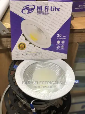 Led Cob 30wts