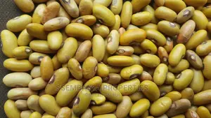 Produce Stores, Beans, Maize, Maize Flour, Sorghum, Peas Etc