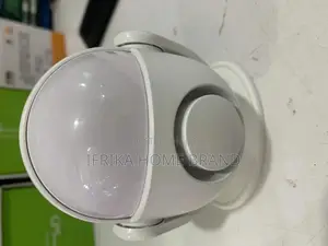 PIR Motion Detector