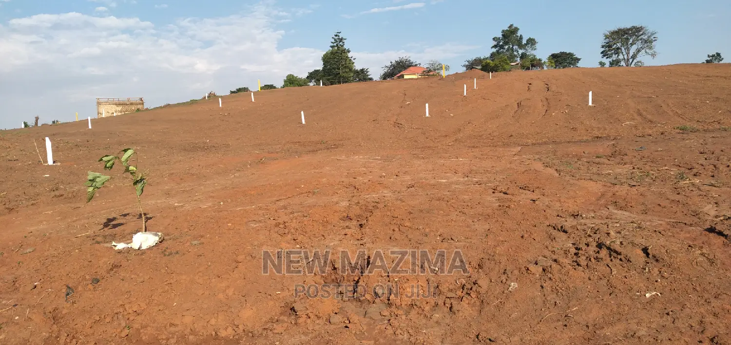 Buloba Town Estate Affordable Plots With Ready Private Title