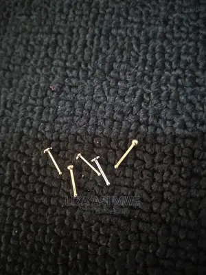 Quality and Unique Nose Pins (Nosepieces)