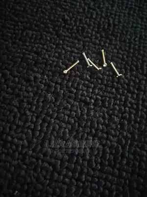 Quality and Unique Nose Pins (Nosepieces)